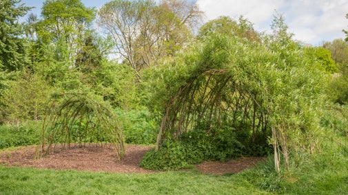Willow tunnels with fresh green leaves growing out of the structure.
